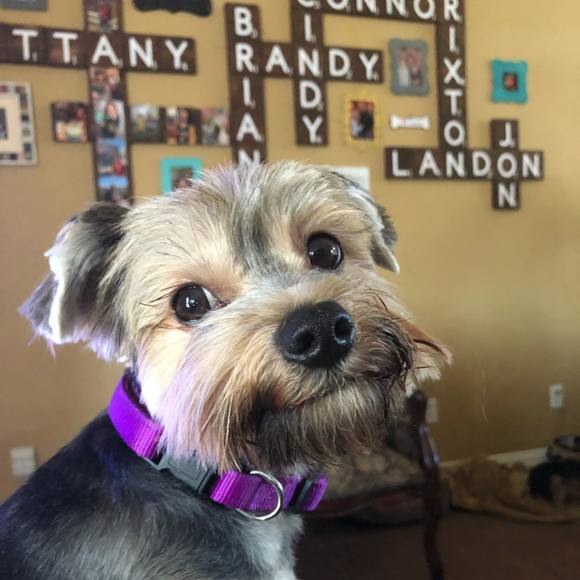 Meet your Posher, Randy - Picture 1 of 1